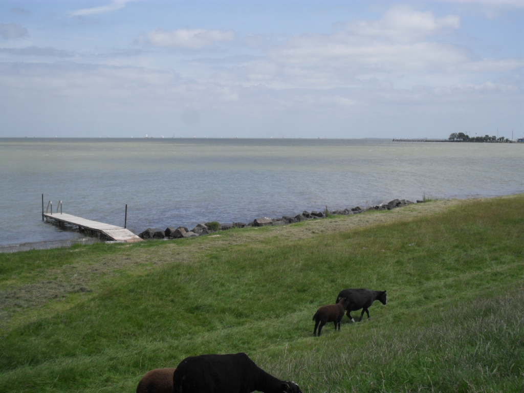 Svr camping – de zeevangshoeve » gallery